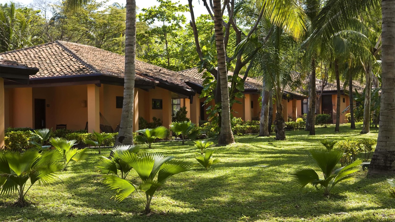 Photo of Outdoor in Montelimar