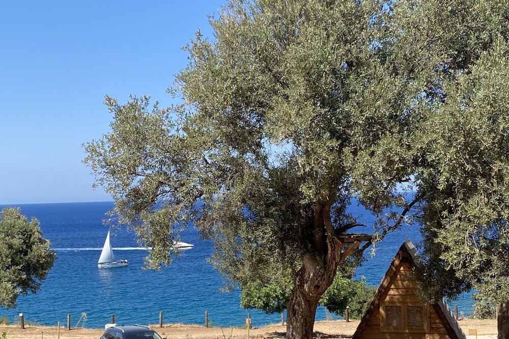 Photo of Others in Neo Chorio