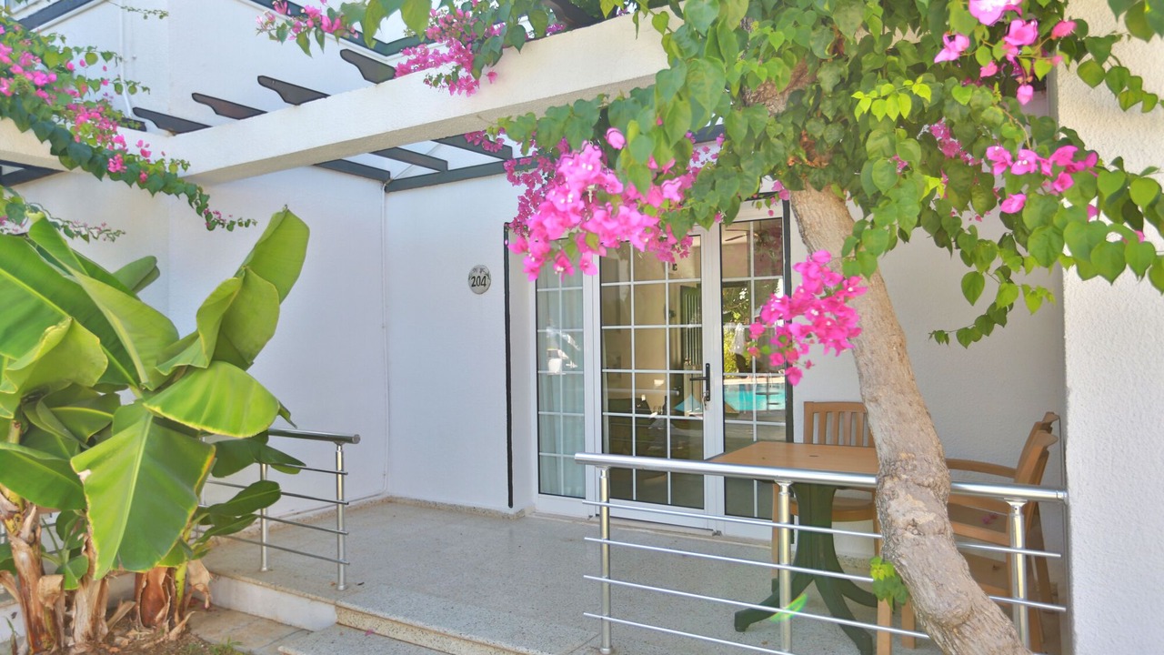 Photo of Outdoor in Zeytinlik