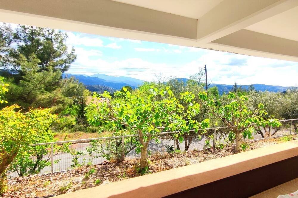 Photo of Outdoor in Vasa Koilaniou