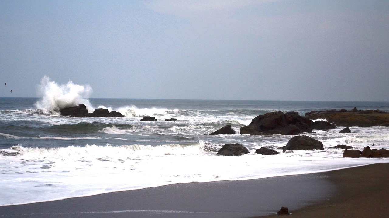 Photo of Others in Las Penitas