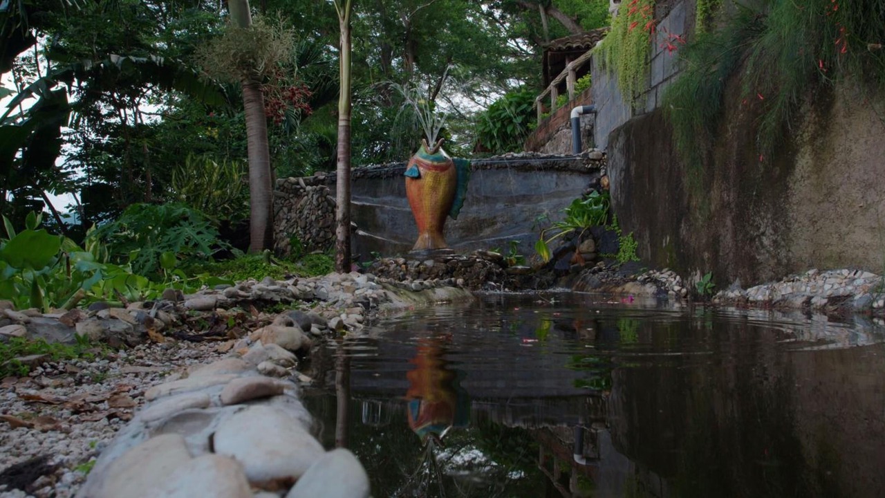Photo of Outdoor in La Laguna