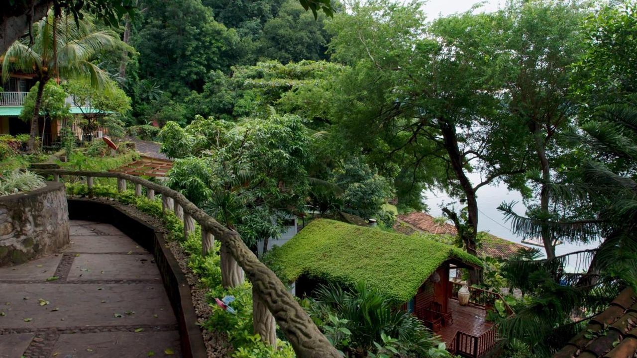 Photo of Outdoor in La Laguna