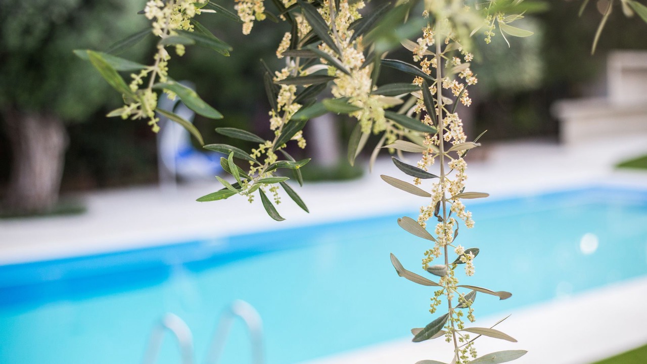 Photo of Outdoor in Potamos tis Germasogeias