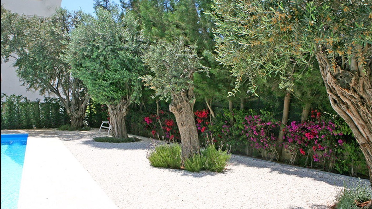 Photo of Outdoor in Potamos tis Germasogeias