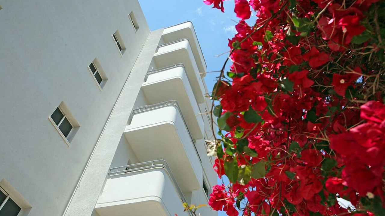 Photo of Outdoor in Potamos tis Germasogeias