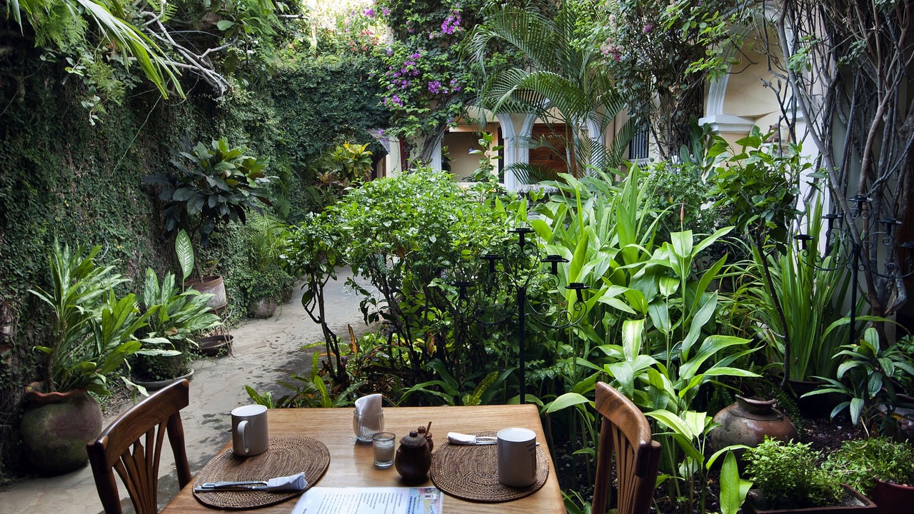 Photo of Others in Granada