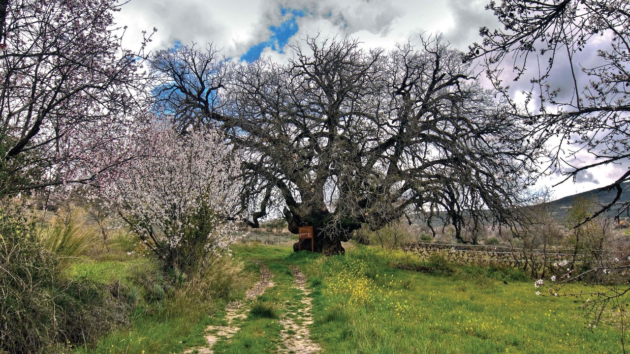 Photo of Outdoor in Laneia