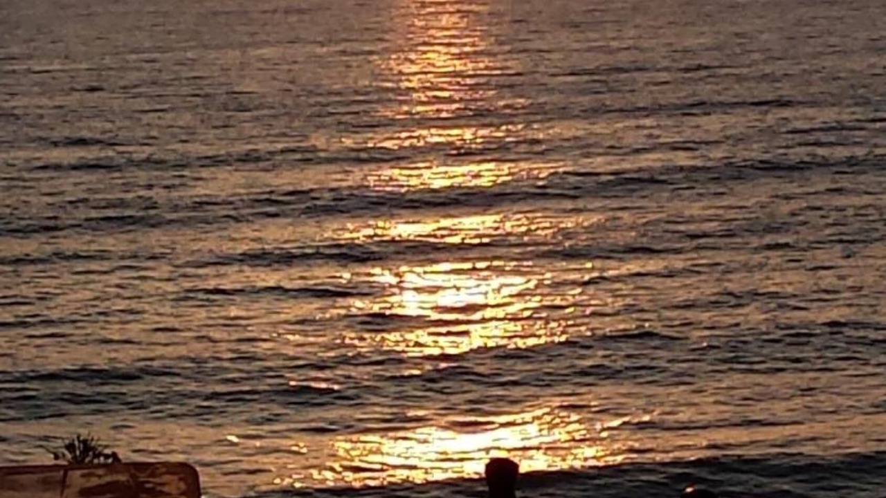Photo of Others in Pomos