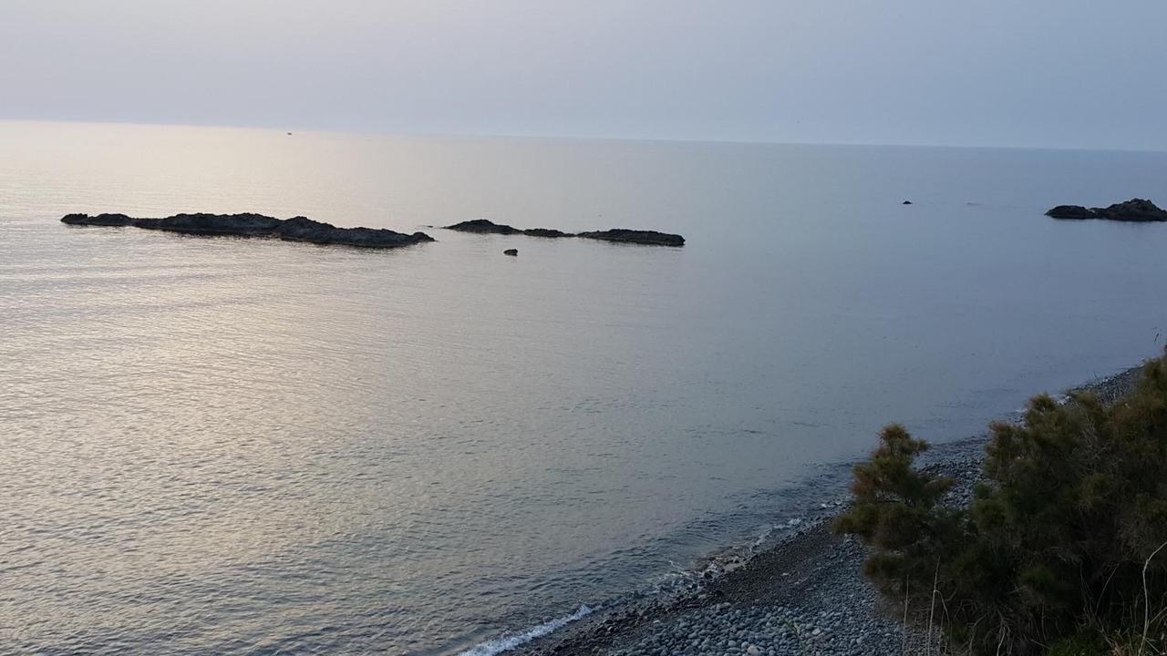Photo of Others in Pomos