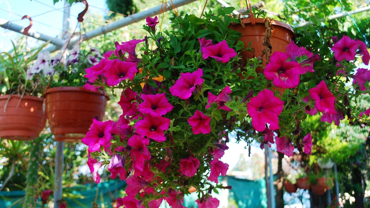 Photo of Outdoor in Paphos