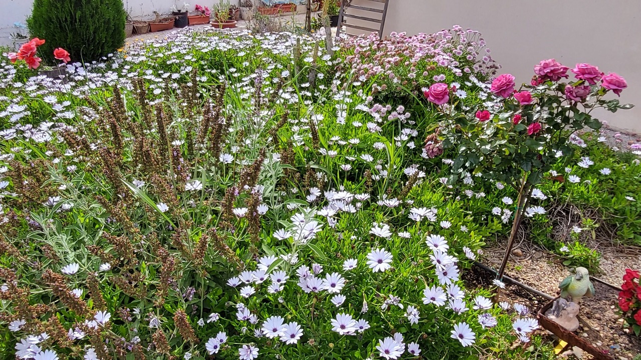 Photo of Outdoor in Paphos