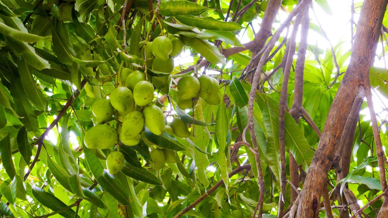 Photo of Outdoor in San Juan del Sur