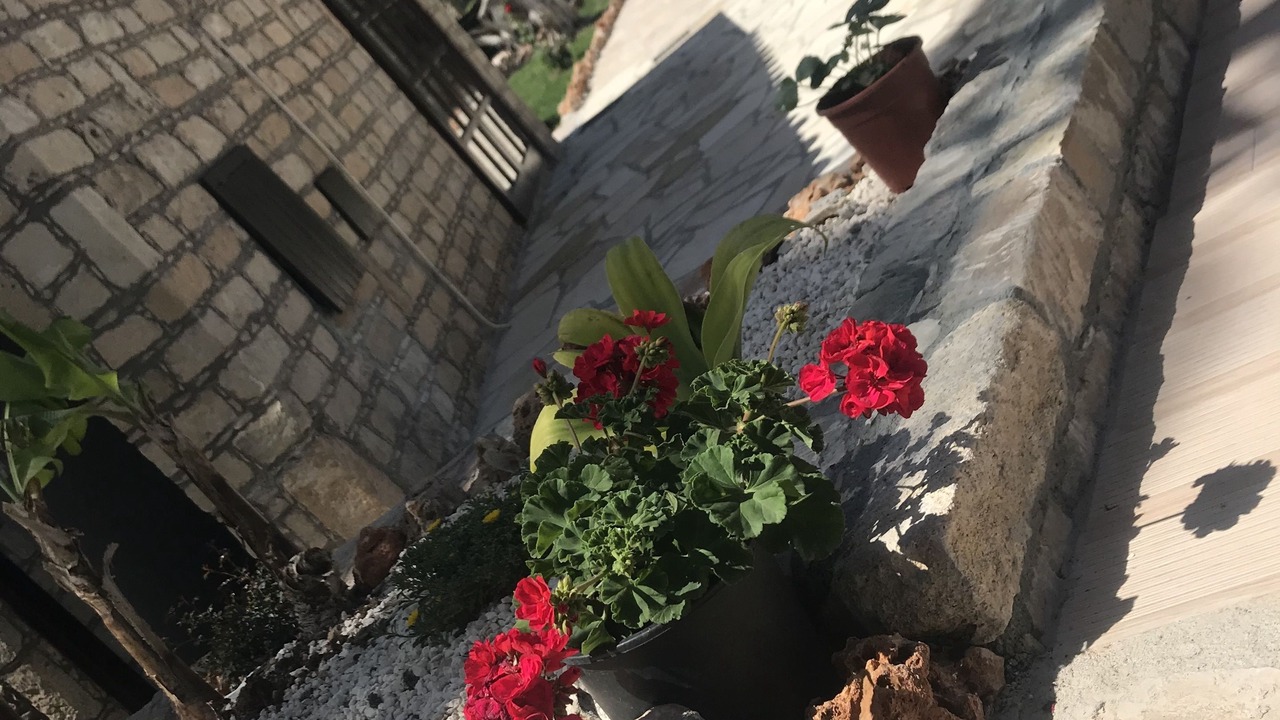 Photo of Outdoor in Anarita