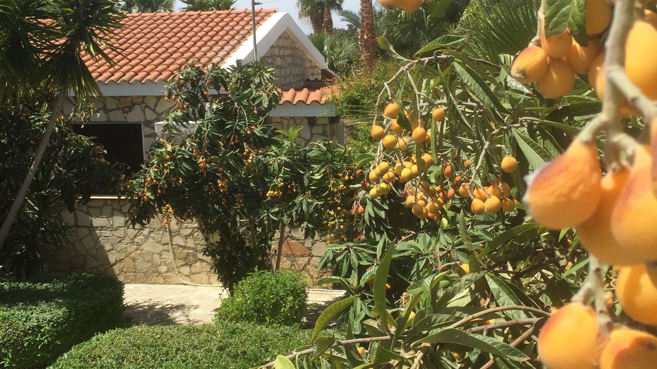 Photo of Outdoor in Anarita