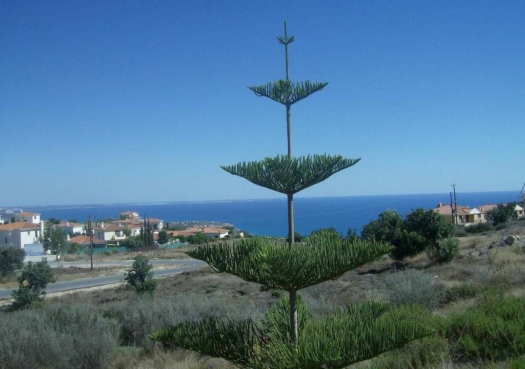 Photo of Others in Pissouri