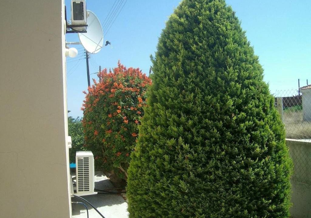 Photo of Outdoor in Pissouri