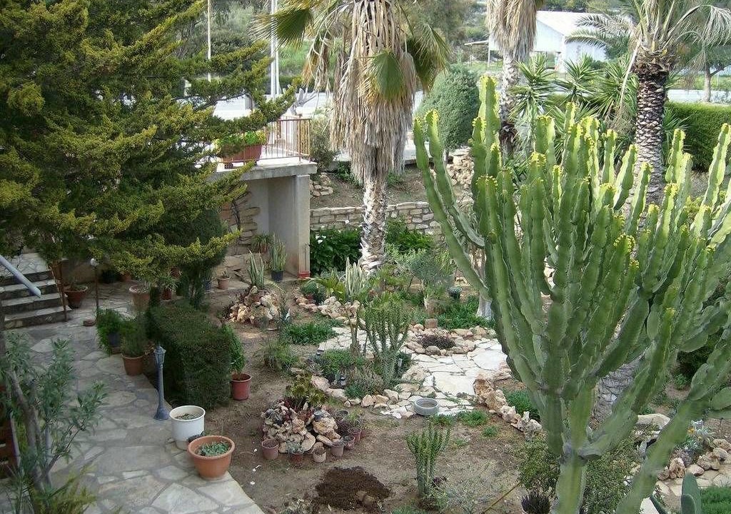 Photo of Outdoor in Pissouri