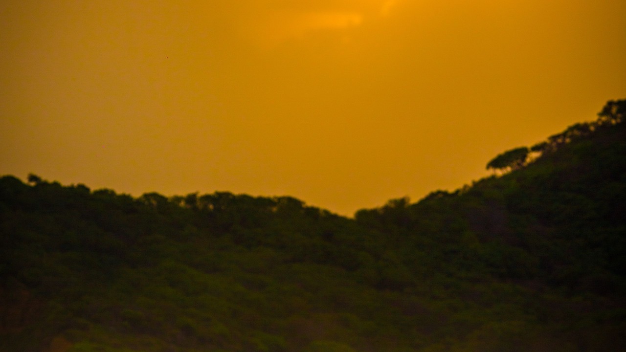 Photo of Others in San Juan del Sur