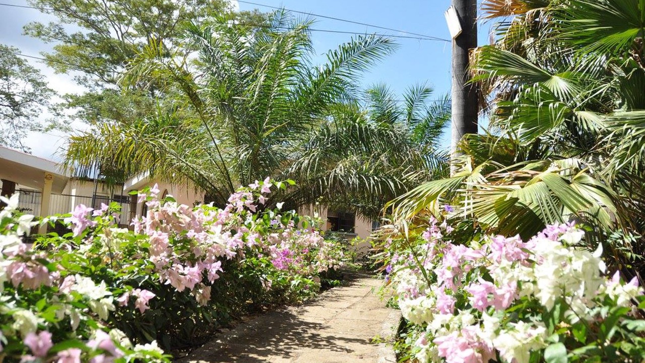 Photo of Outdoor in Managua