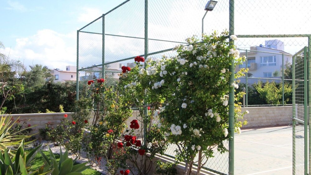 Photo of Outdoor in Agios Georgios Pegeias