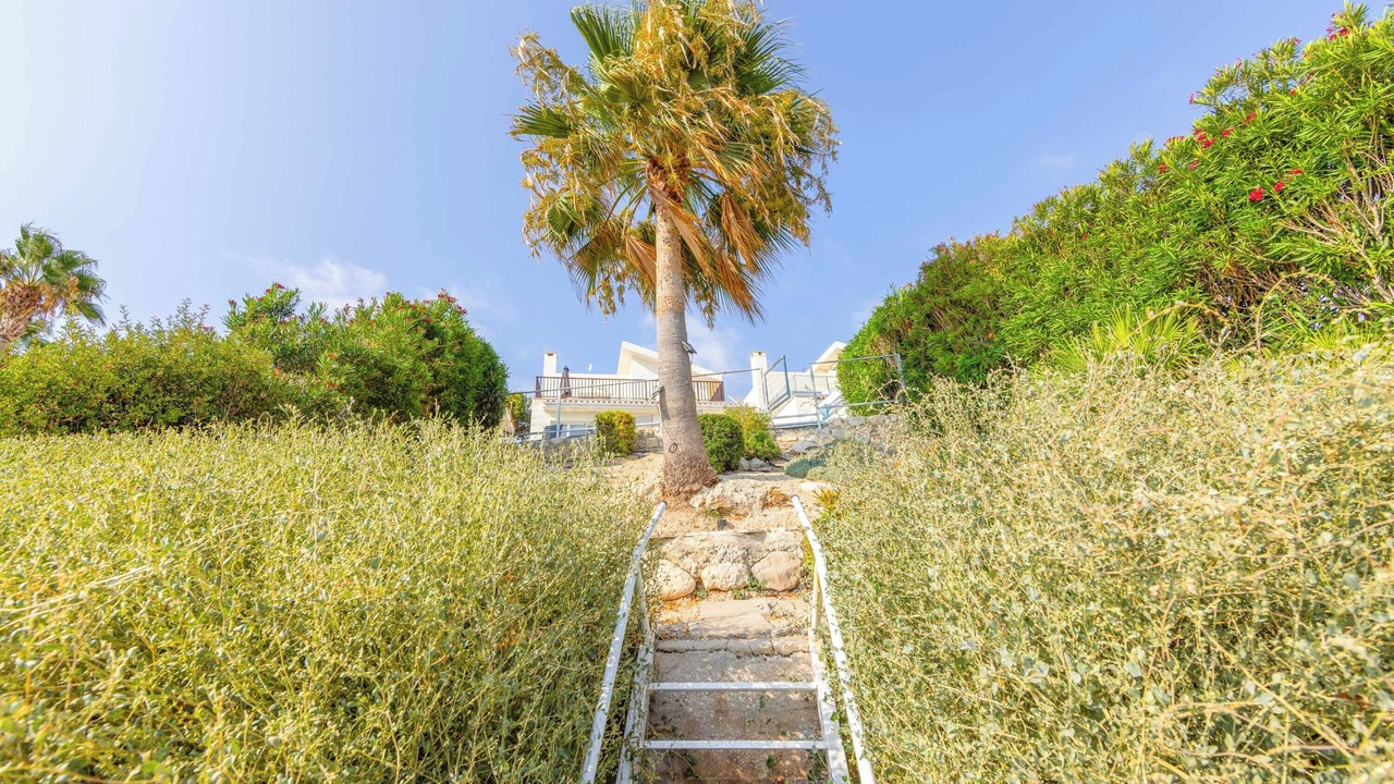 Photo of Outdoor in Pegeia