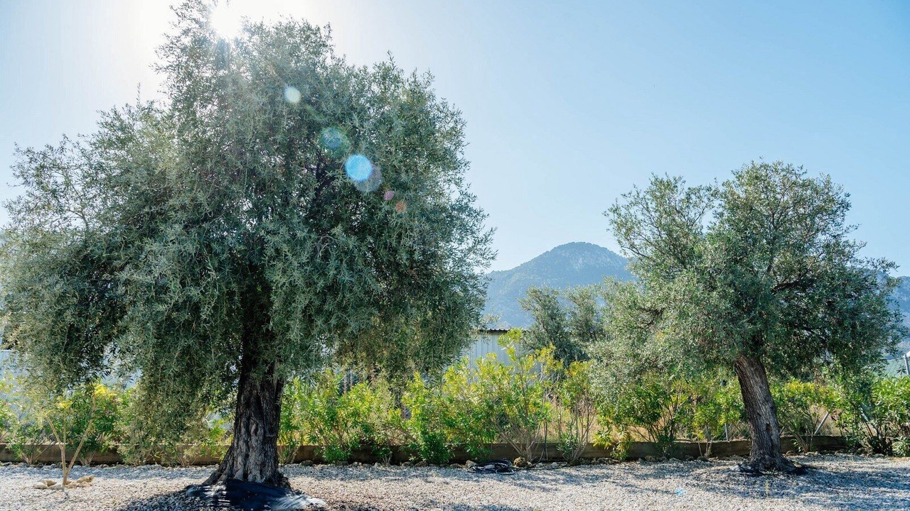 Photo of Outdoor in Kyrenia District