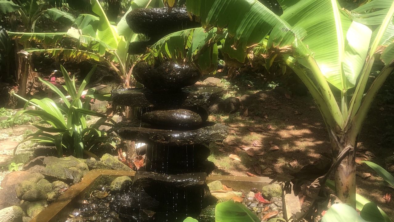 Photo of Outdoor in Corn Island