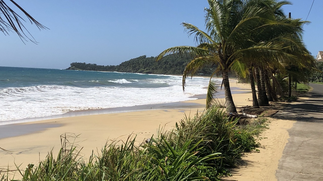 Photo of Others in Corn Island