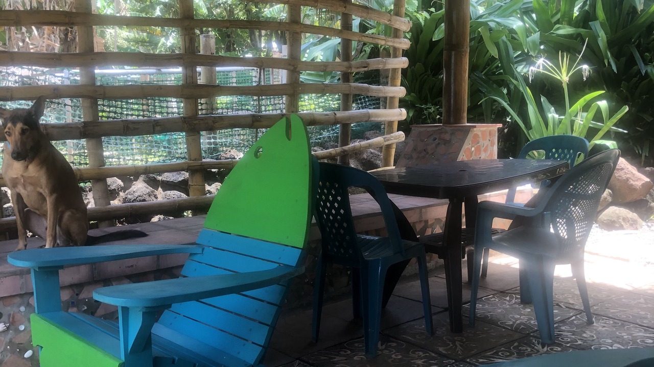 Photo of Outdoor in Corn Island