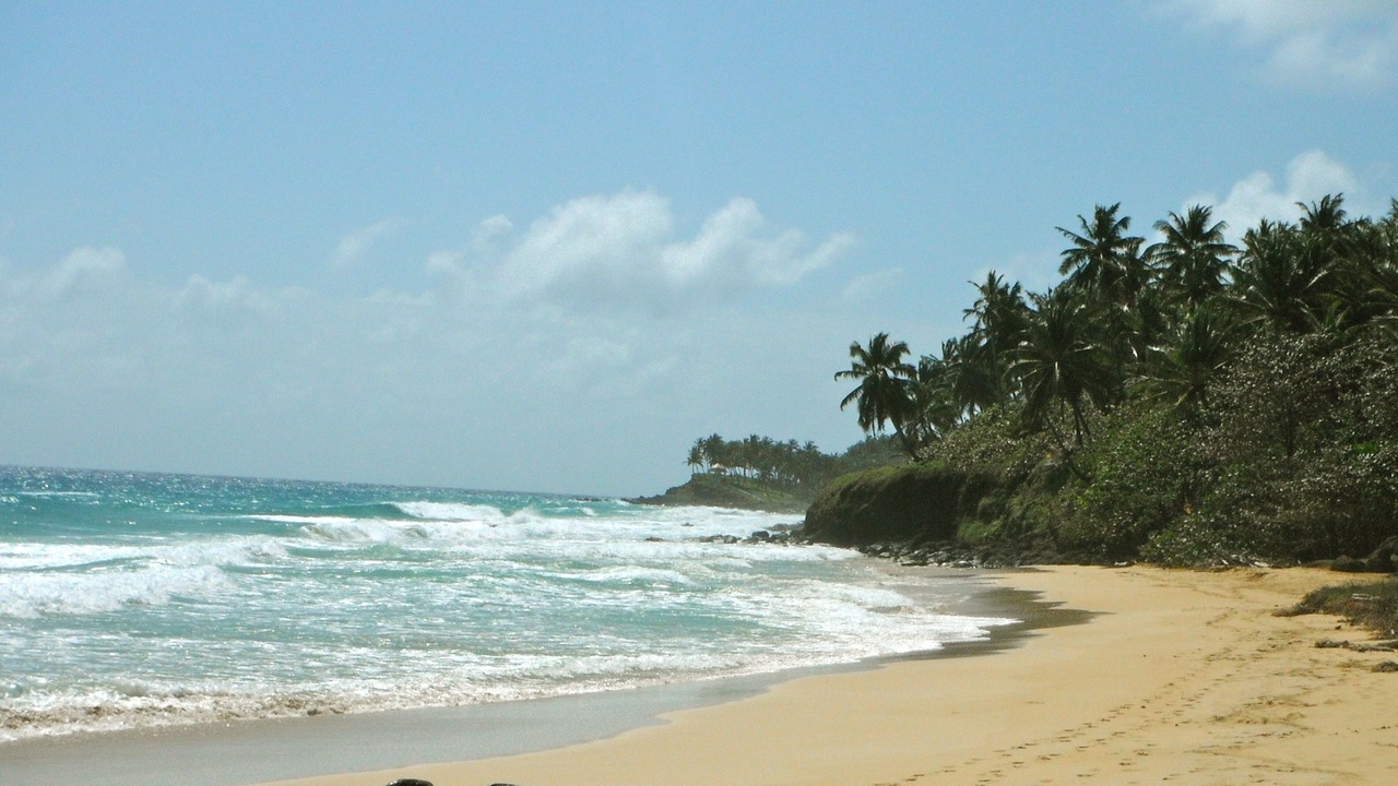 Photo of Others in Corn Island