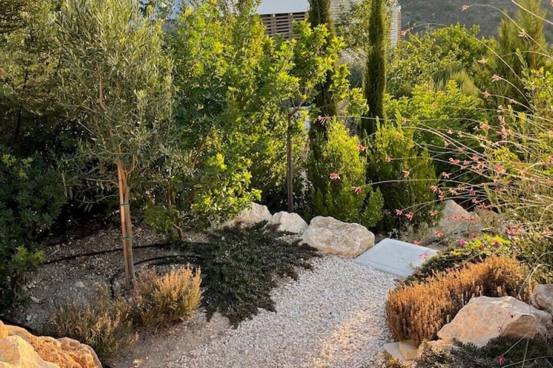 Photo of Outdoor in Tsada
