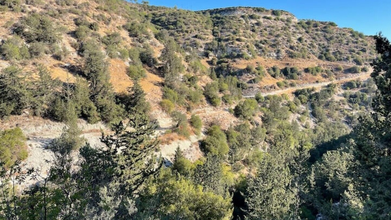 Photo of Others in Tsada