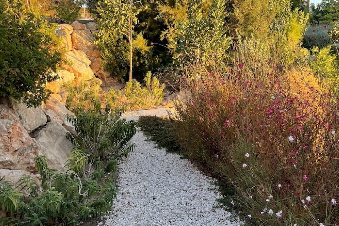 Photo of Outdoor in Tsada