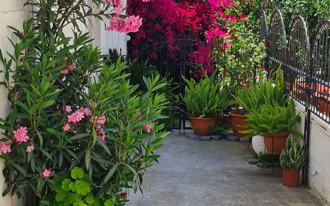 Photo of Outdoor in Ayia Napa