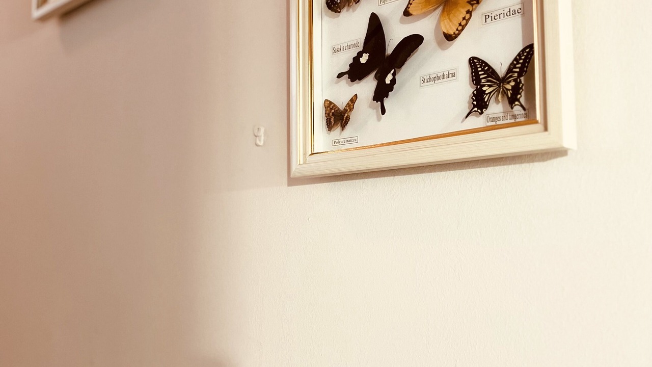 Photo of Others in Kyrenia