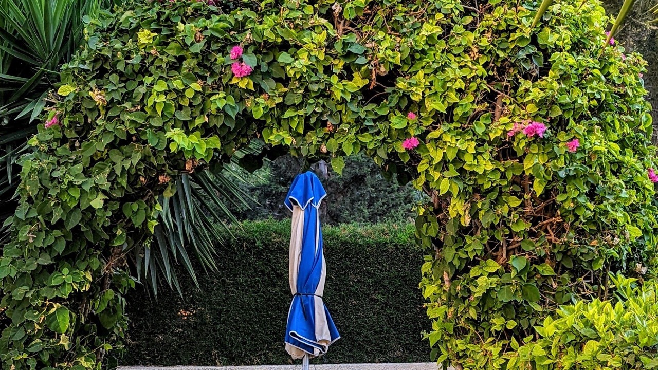 Photo of Outdoor in Paphos