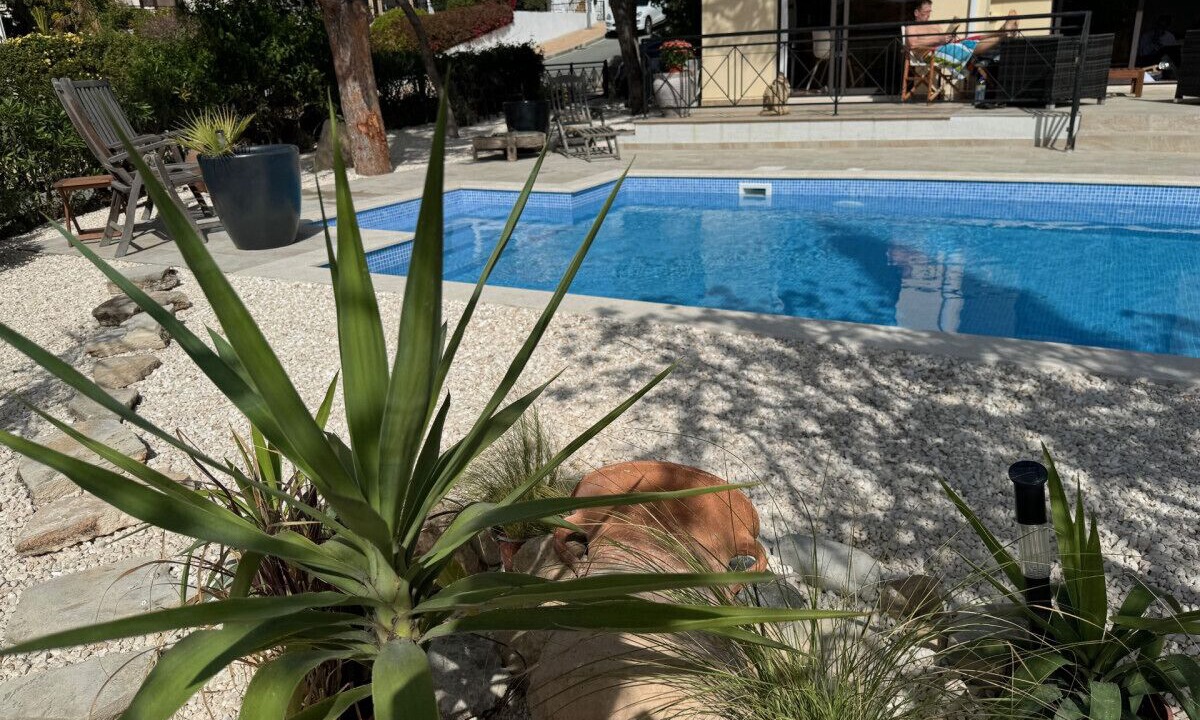 Photo of Outdoor in Pissouri