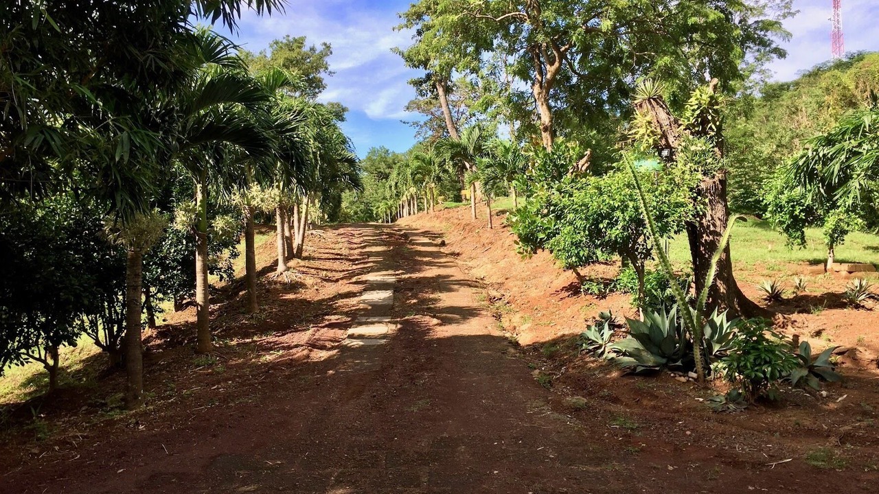 Photo of Outdoor in Las Fincas de Escamequita