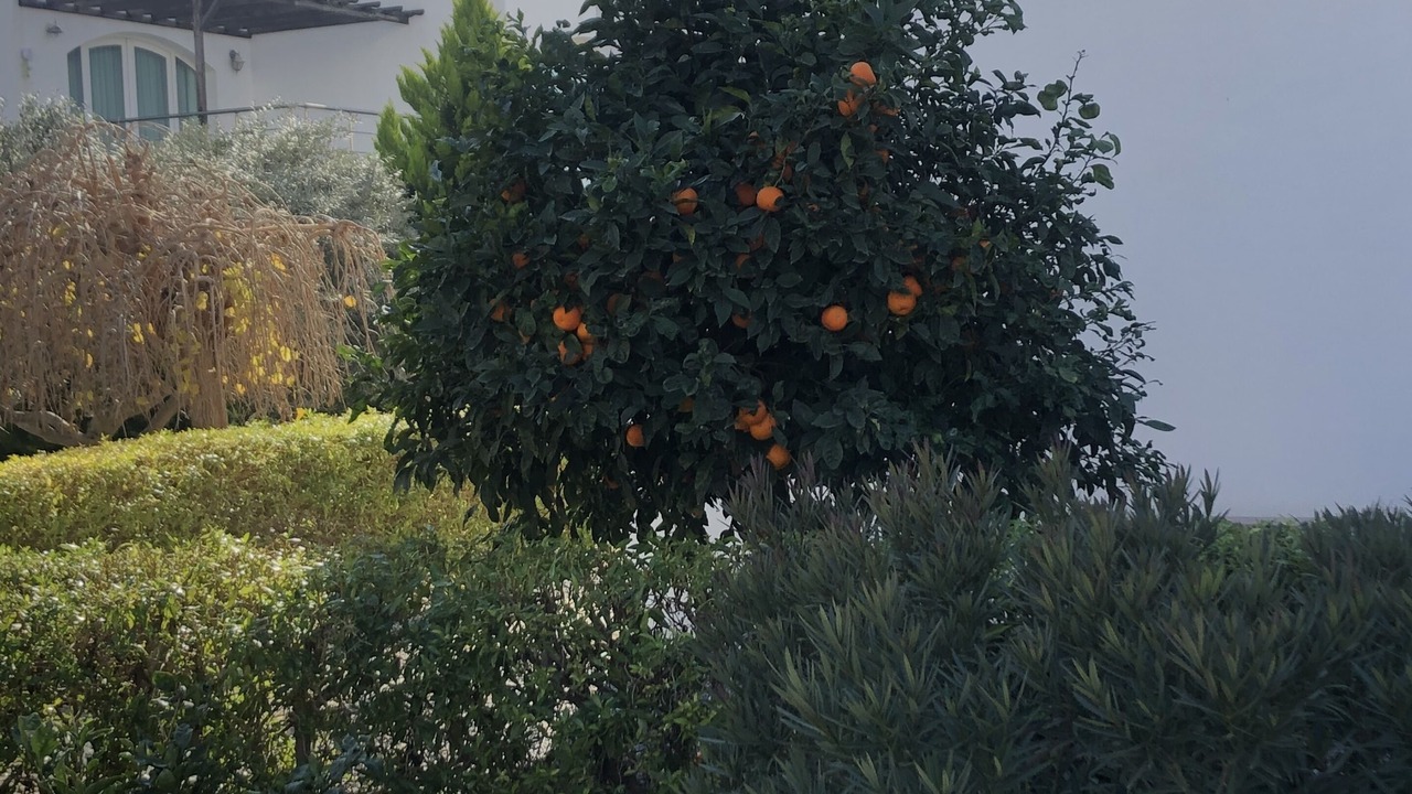 Photo of Outdoor in Ghaziveran