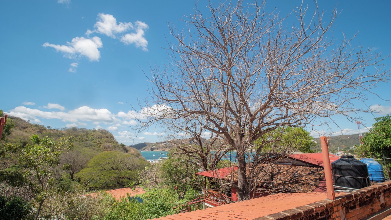 Photo of Others in San Juan del Sur