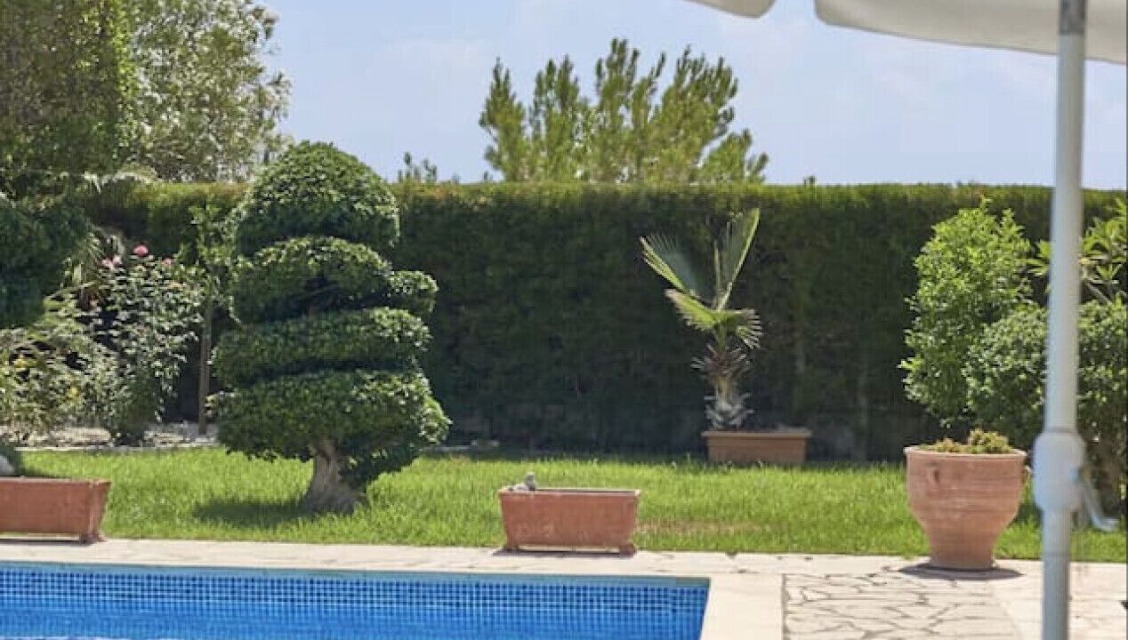 Photo of Outdoor in Pegeia