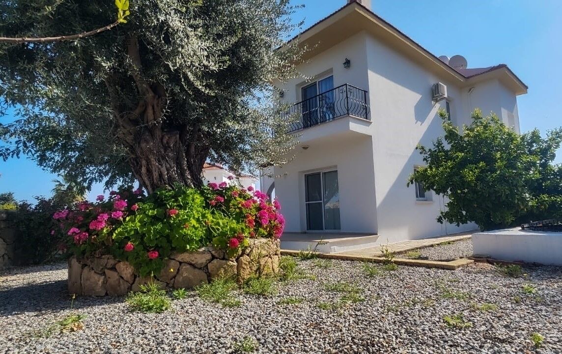 Photo of Outdoor in Ozankoy