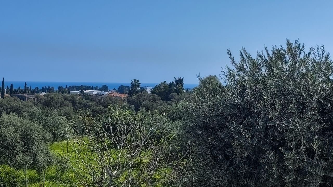 Photo of Others in Ozankoy