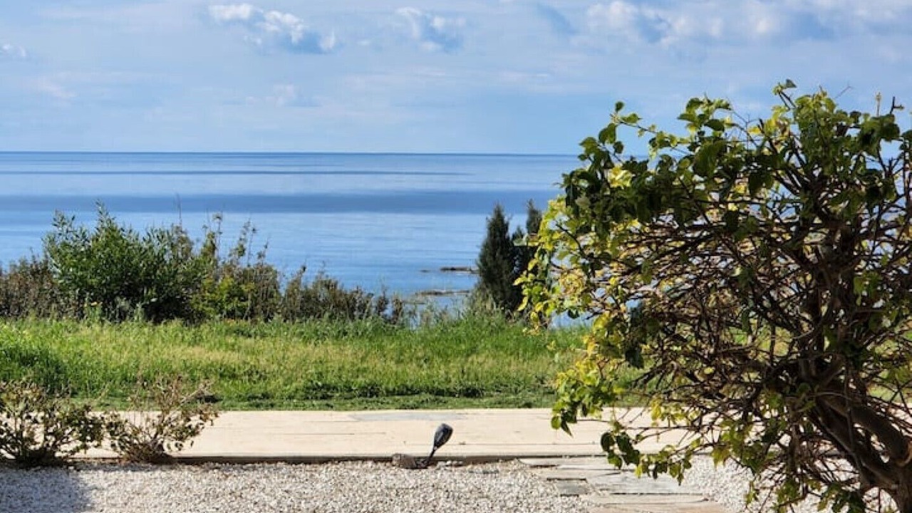 Photo of Outdoor in Pegeia