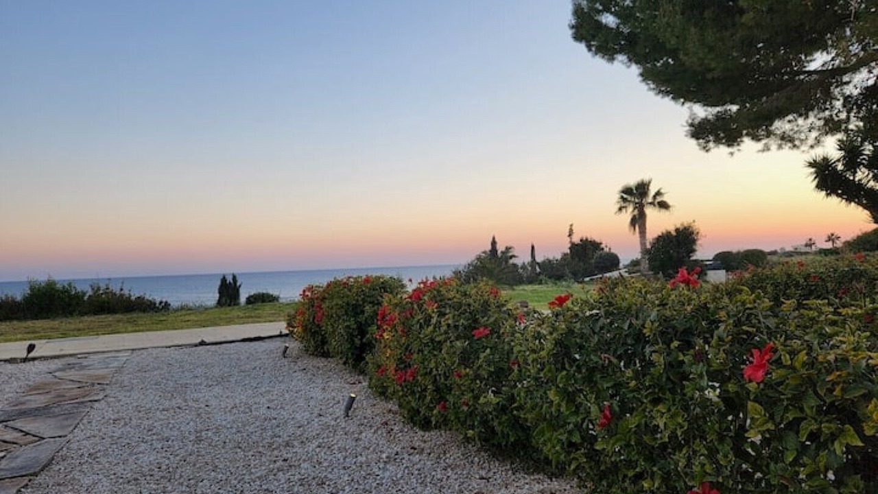 Photo of Outdoor in Pegeia