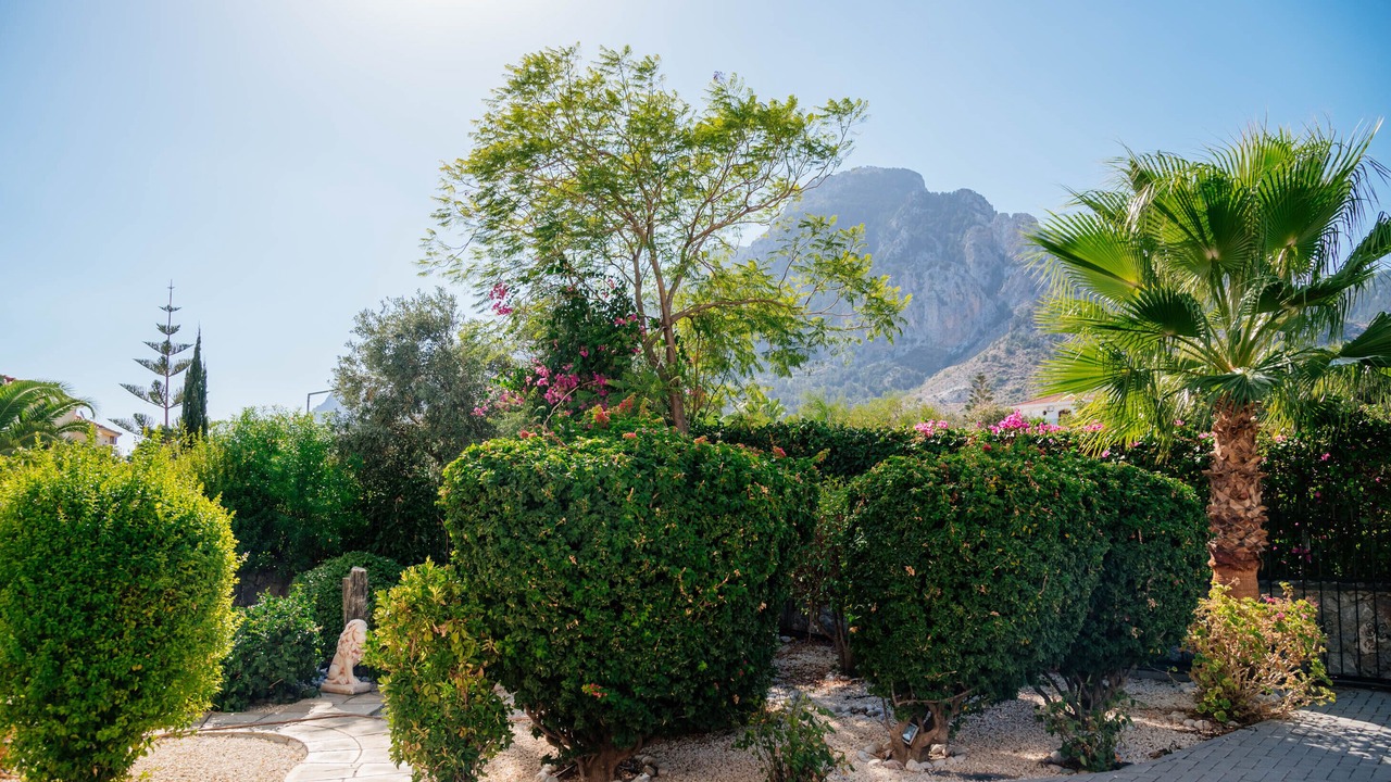 Photo of Outdoor in Karsiyaka