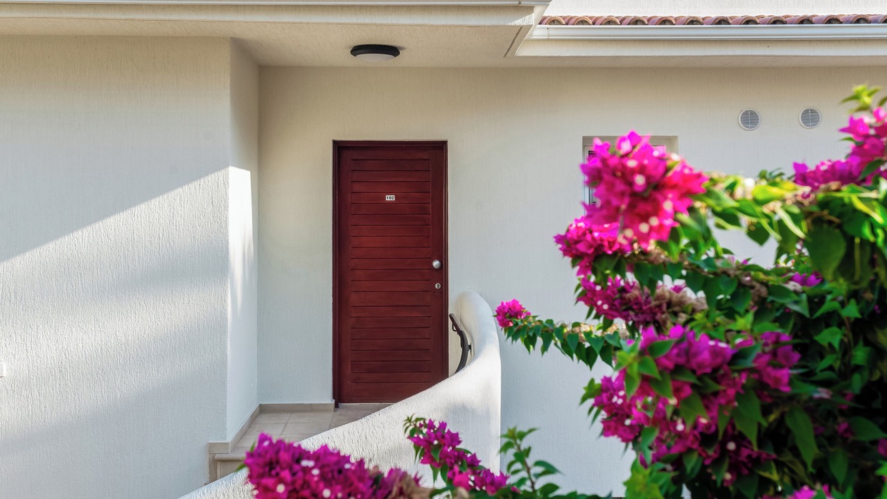 Photo of Outdoor in Chlorakas