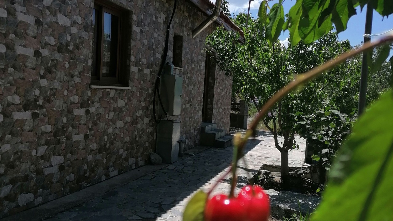 Photo of Outdoor in Vasa Koilaniou