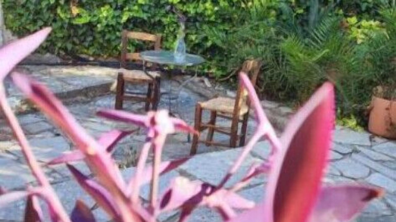 Photo of Outdoor in Panagia